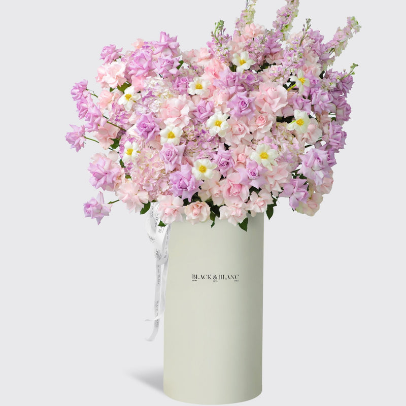 Purple Paradise in Pinnacle Box - BLACK AND BLANC