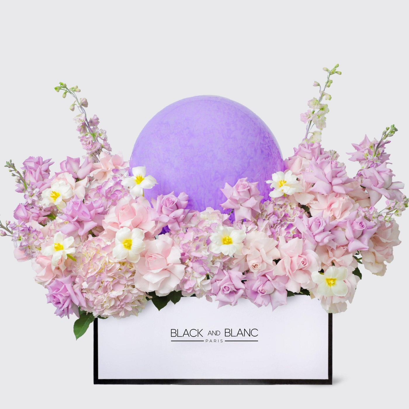 Purple Paradise in Zenith Box with Balloon - BLACK AND BLANC