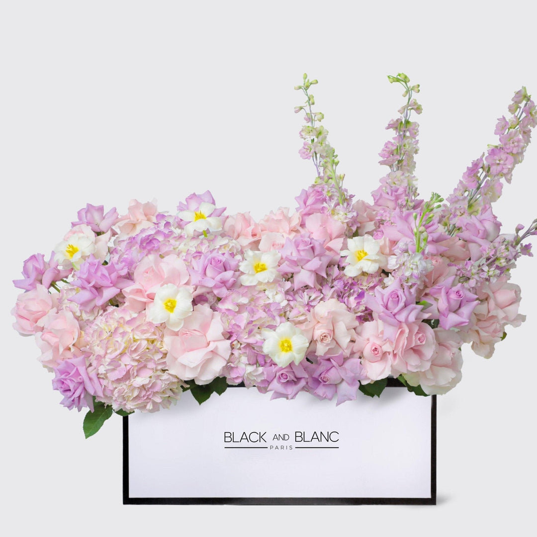 Purple Paradise in Zenith Box - BLACK AND BLANC