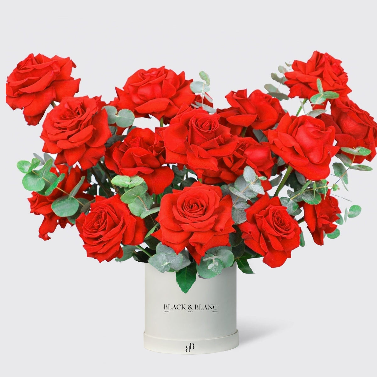 Radiant Red with Cake and Balloons - BLACK AND BLANC