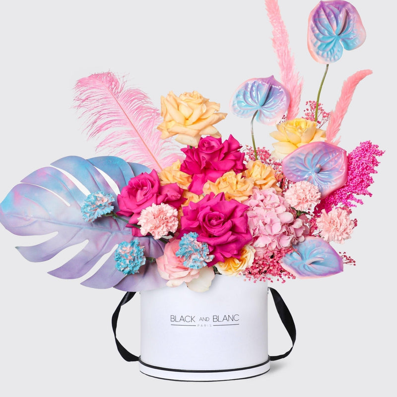 Radiant Reverie in Box - BLACK AND BLANC