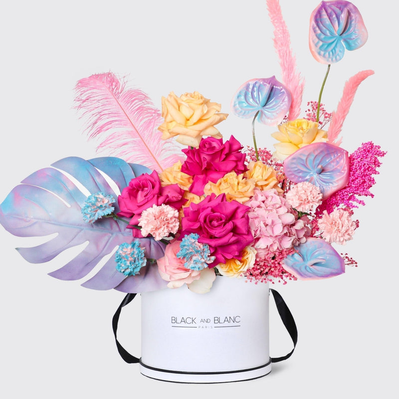 Radiant Reverie in Box - BLACK AND BLANC