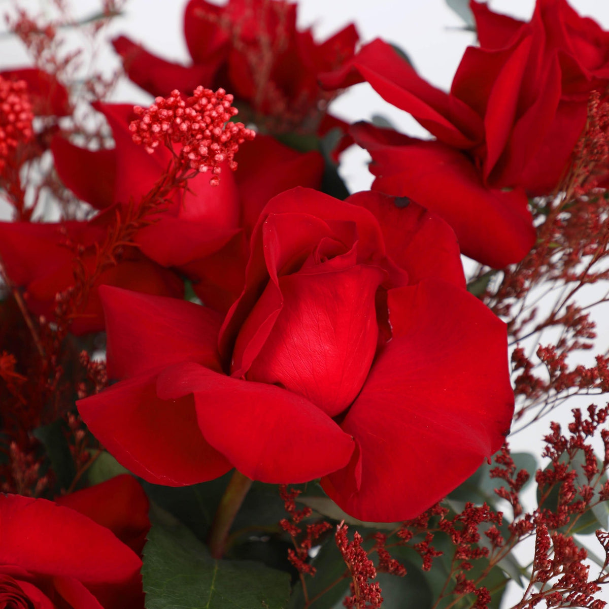 Red Beauty in Box - BLACK AND BLANC