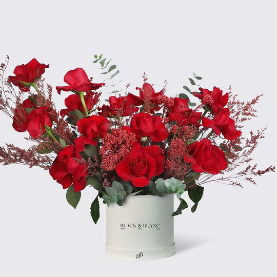 Red Beauty in Box - BLACK AND BLANC