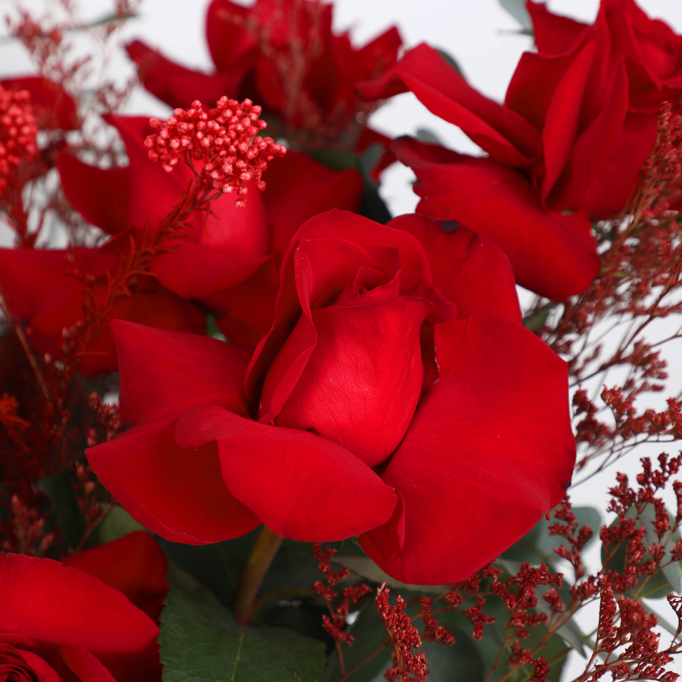 Red Beauty in Box - Fresh Flowers - Box