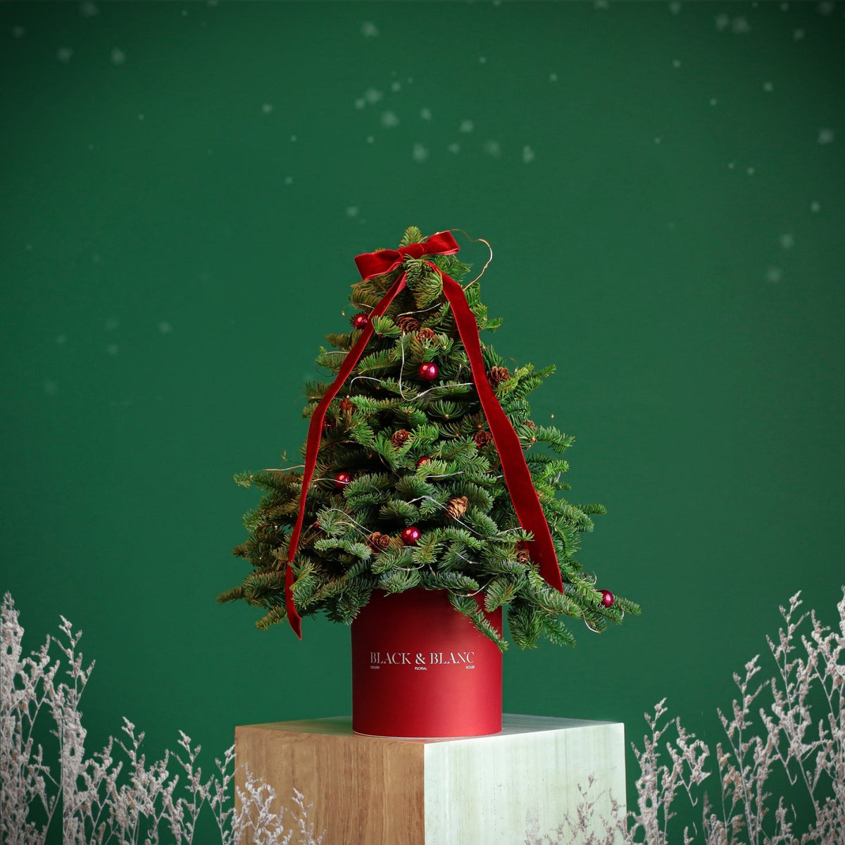 Red Christmas Tree with Lights - BLACK AND BLANC