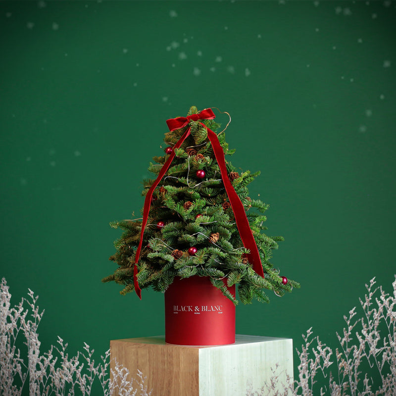 Red Christmas Tree with Lights