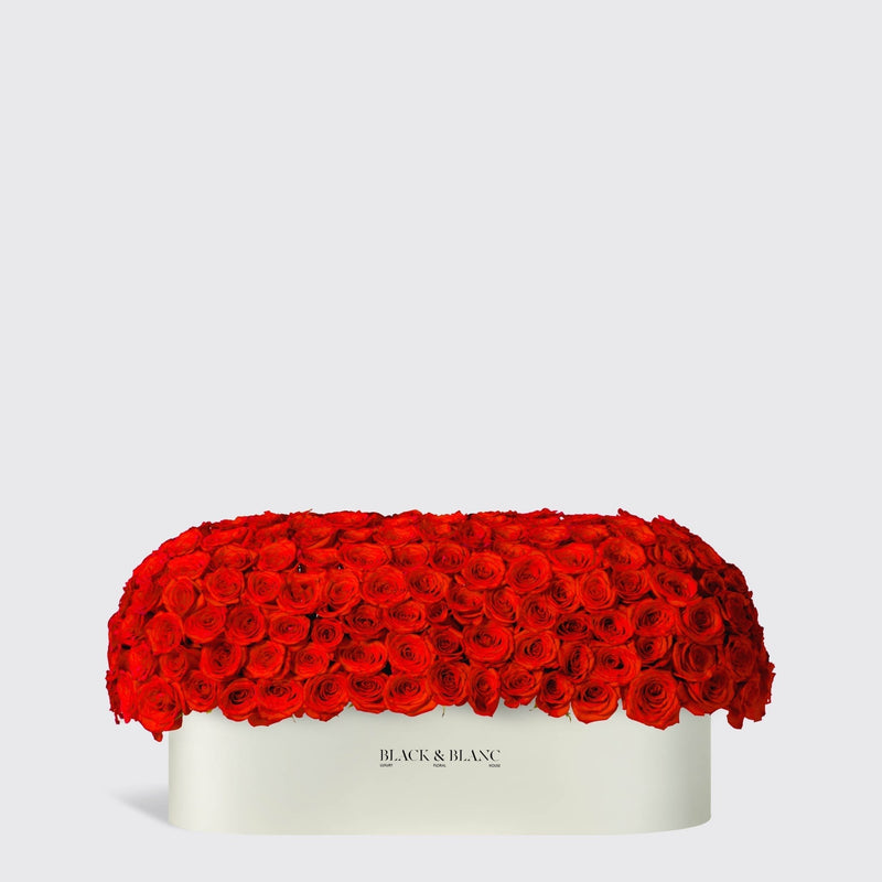 Red Dome in 1 Meter Box - BLACK AND BLANC