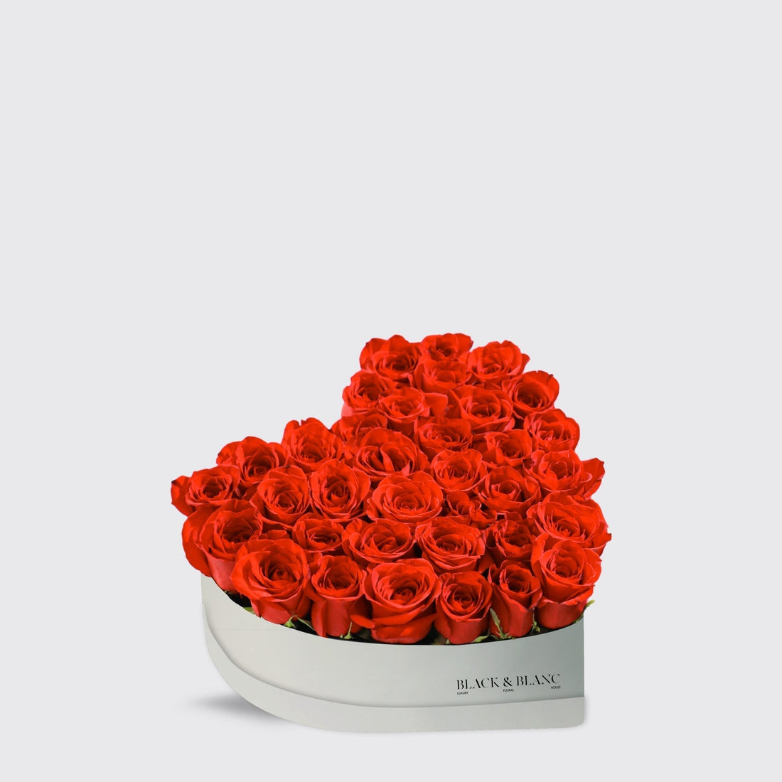 Red Heart of Blooming Classic Roses - BLACK AND BLANC