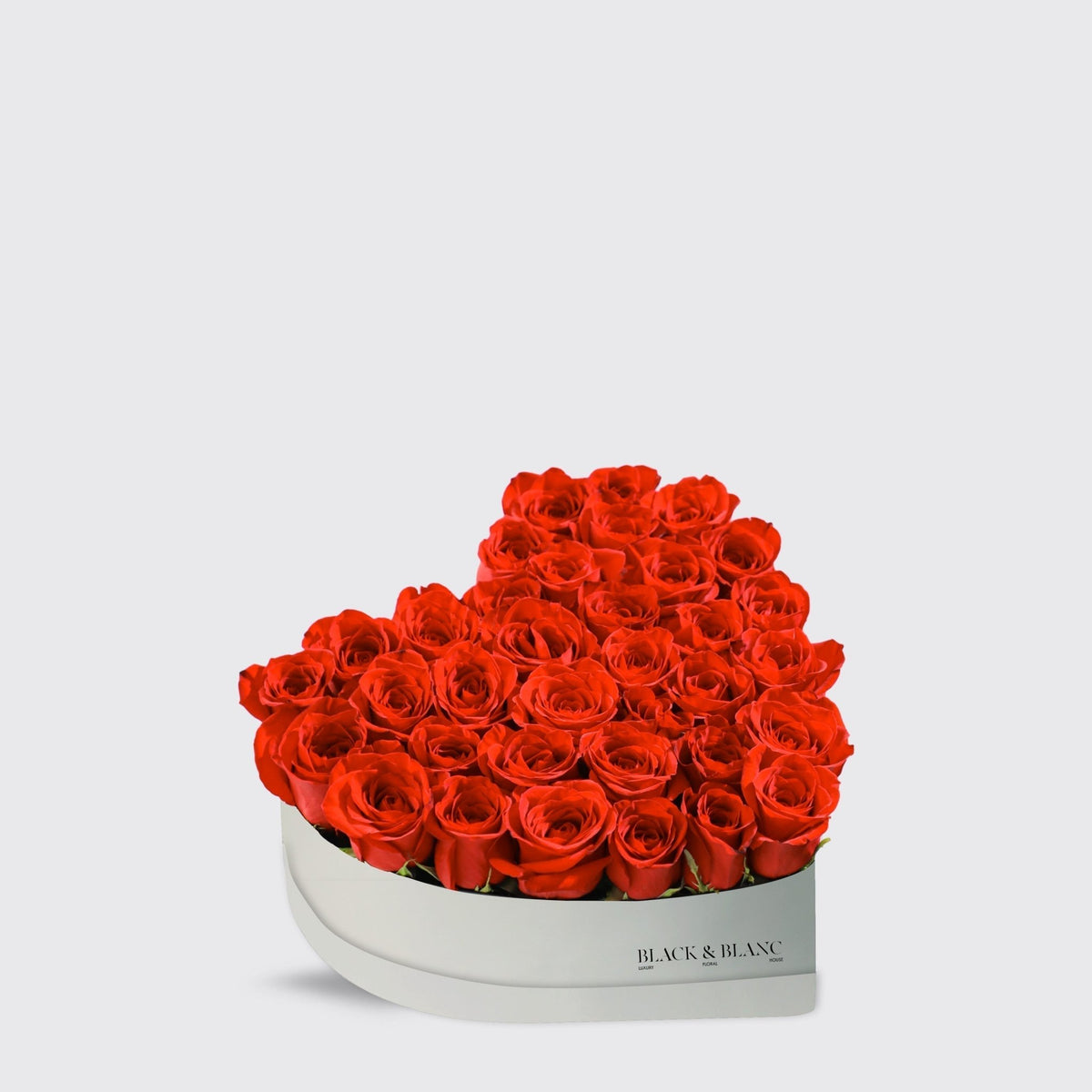 Red Heart of Blooming Classic Roses - BLACK AND BLANC