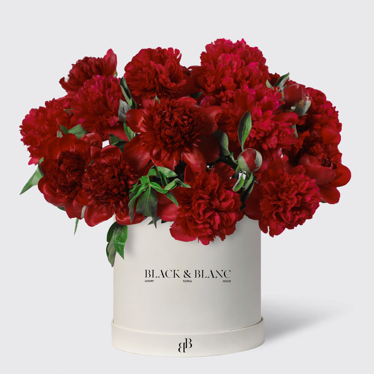 Red Peony in Box - BLACK AND BLANC