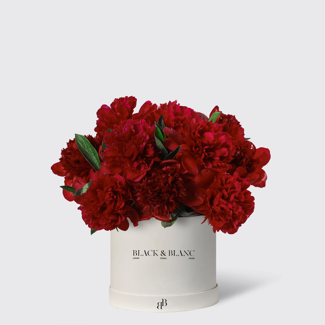 Red Peony in Box - BLACK AND BLANC