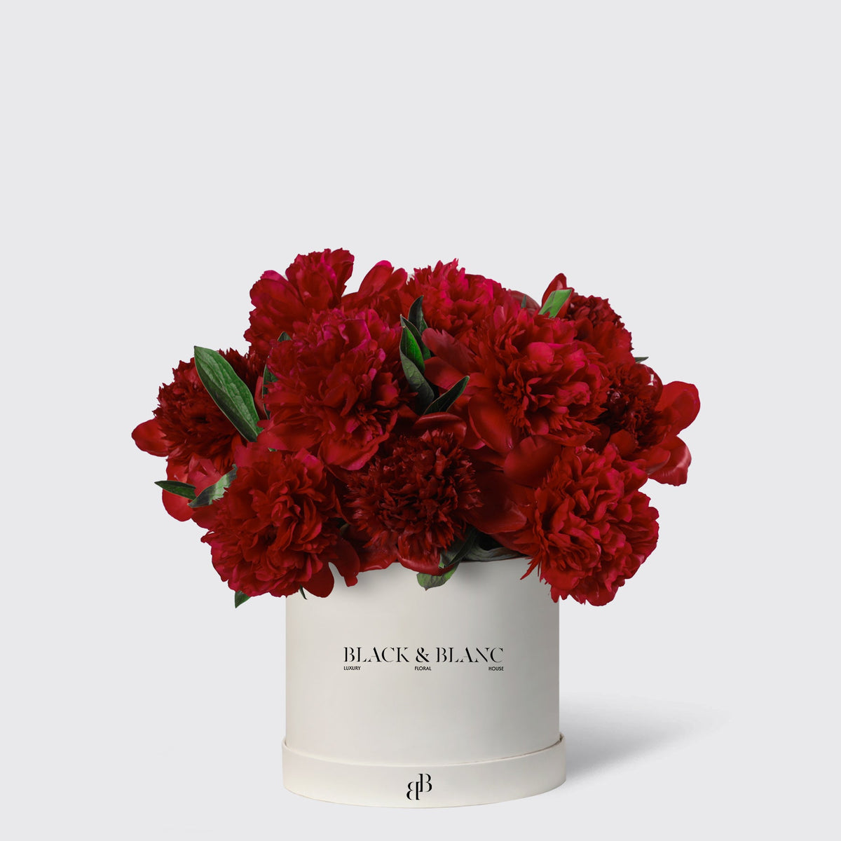 Red Peony in Box - BLACK AND BLANC