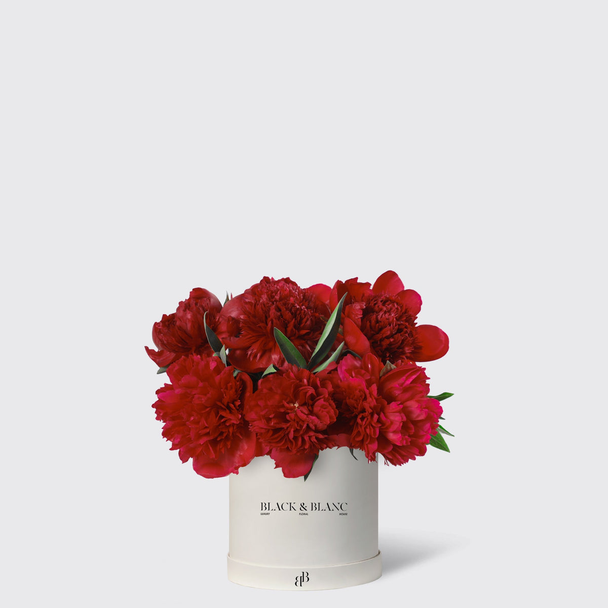 Red Peony in Box - BLACK AND BLANC