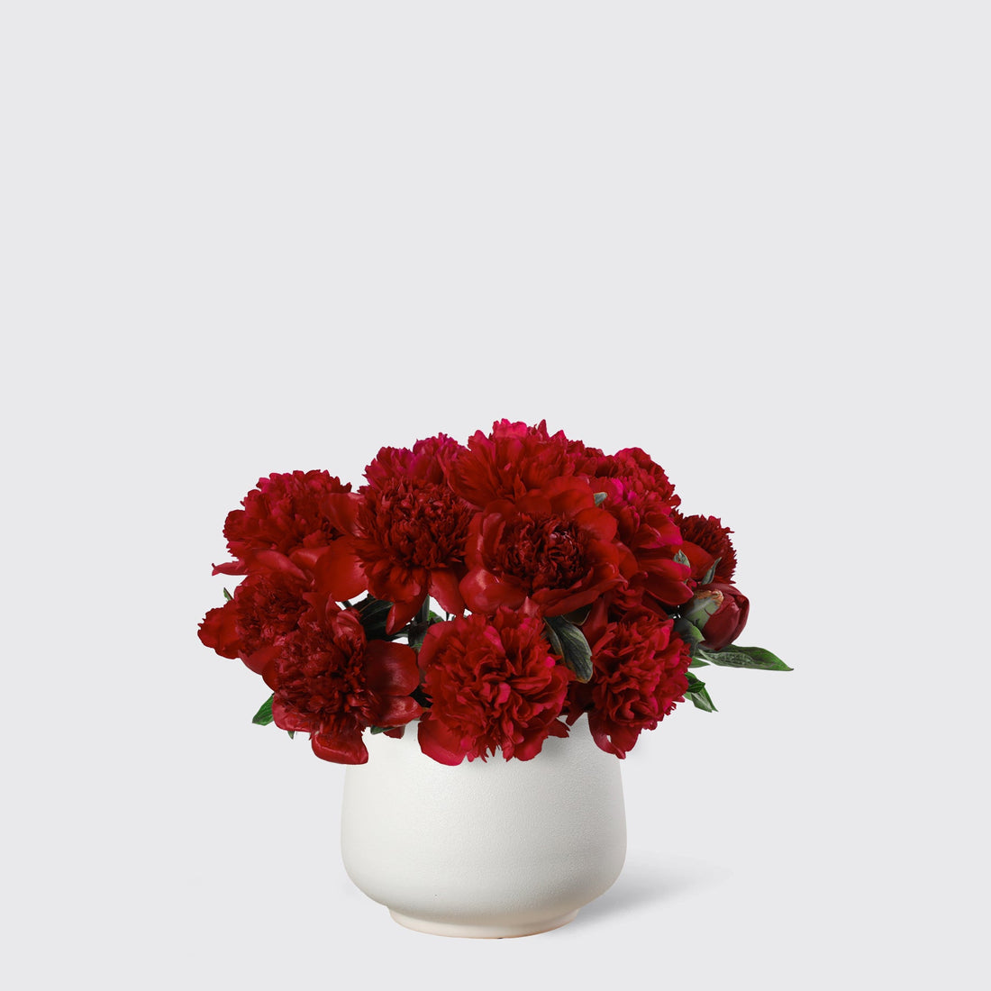 Red Peony in Vase - BLACK AND BLANC