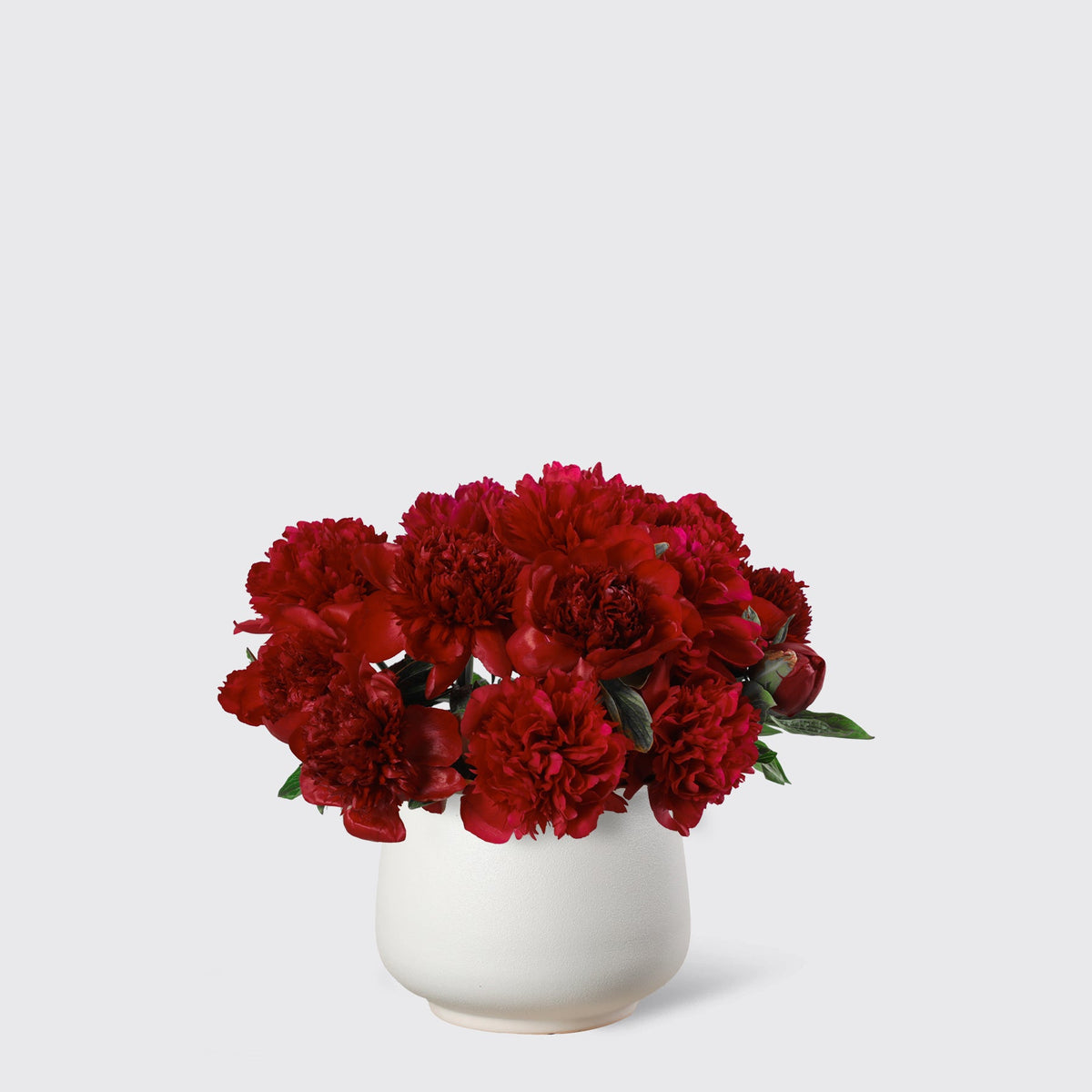Red Peony in Vase - BLACK AND BLANC