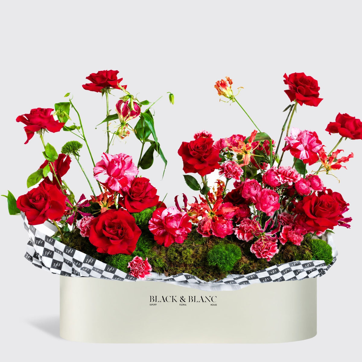 Red Queen in One Meter Box - BLACK AND BLANC