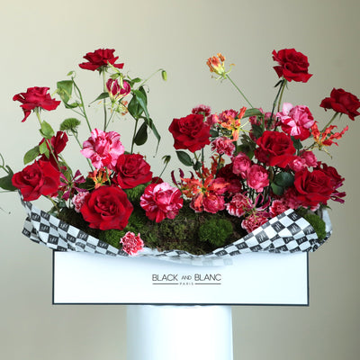 Red Queen in One Meter Box