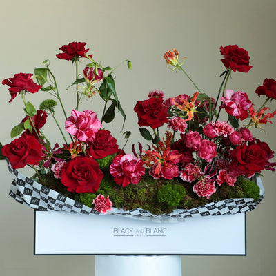 Red Queen in One Meter Box