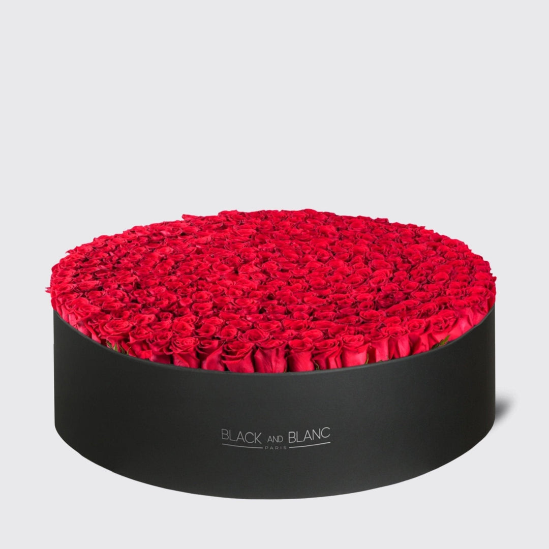 Red Roses Extravaganza in Box - BLACK AND BLANC