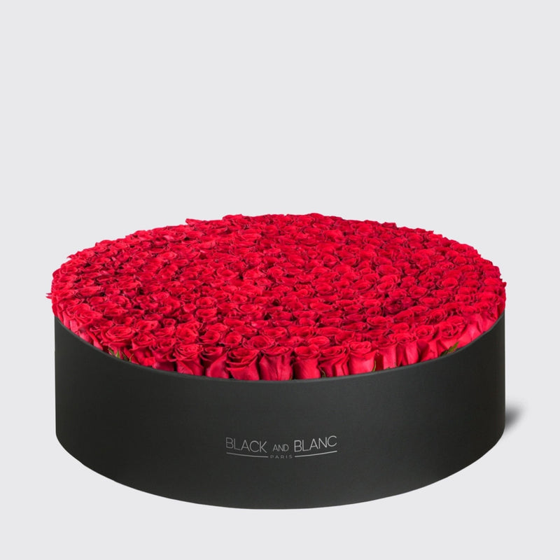 Red Roses Extravaganza in Box - BLACK AND BLANC