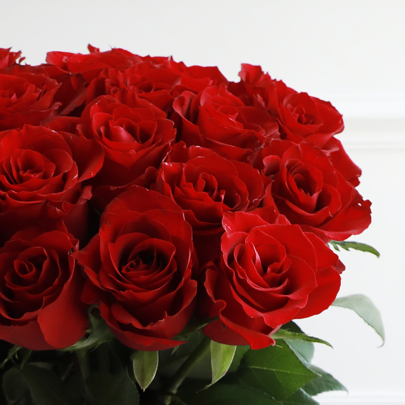 A Bunch of Single Red Roses
