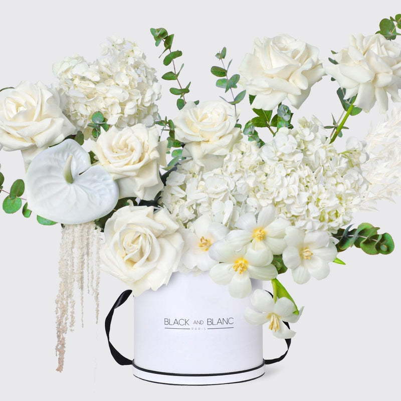 Renaissance Splendor in Box - BLACK AND BLANC