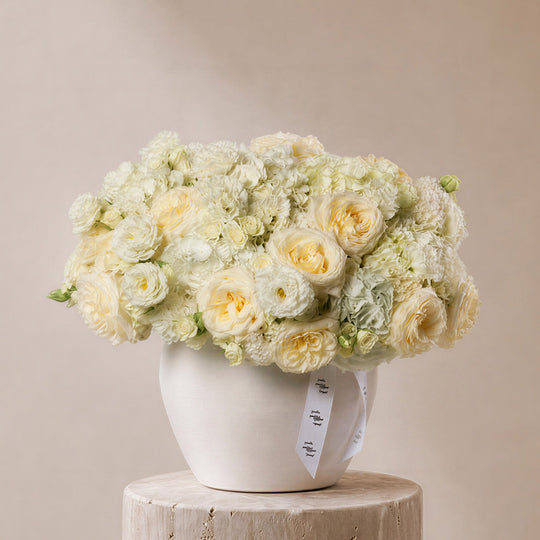 Rimal Roses in Ivory Vase - BLACK AND BLANC