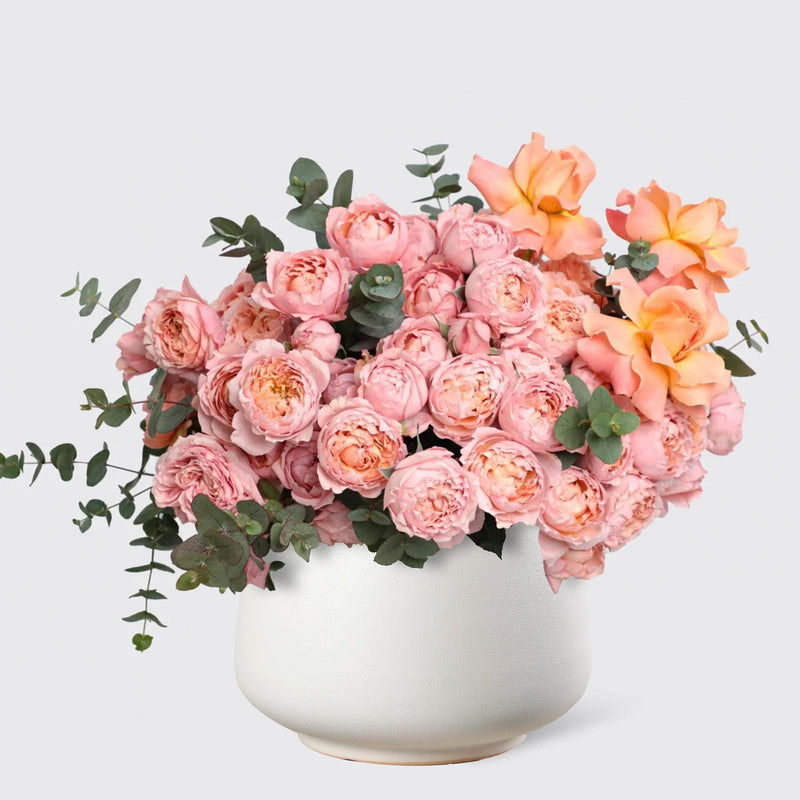 Rosé Dusk in Vase - BLACK AND BLANC
