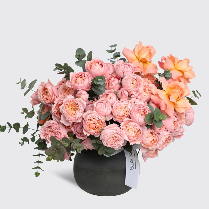 Rosé Dusk in Vase - BLACK AND BLANC