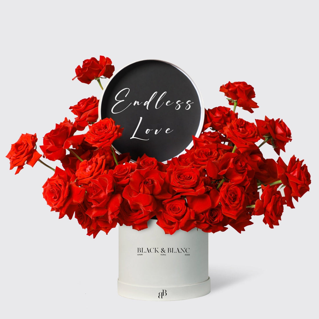 Rose Lux Script - Endless Love - BLACK AND BLANC