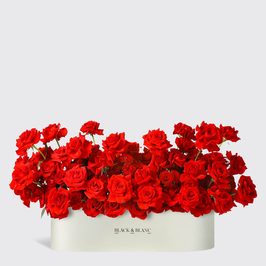 Rose Luxe in 1 Meter Box - BLACK AND BLANC