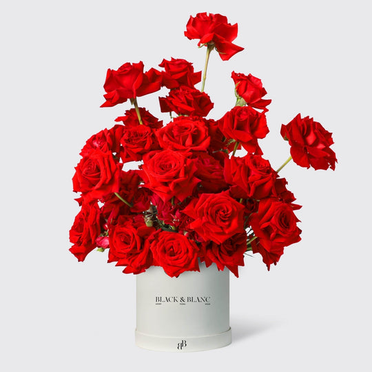 Rose Luxe in Box - BLACK AND BLANC