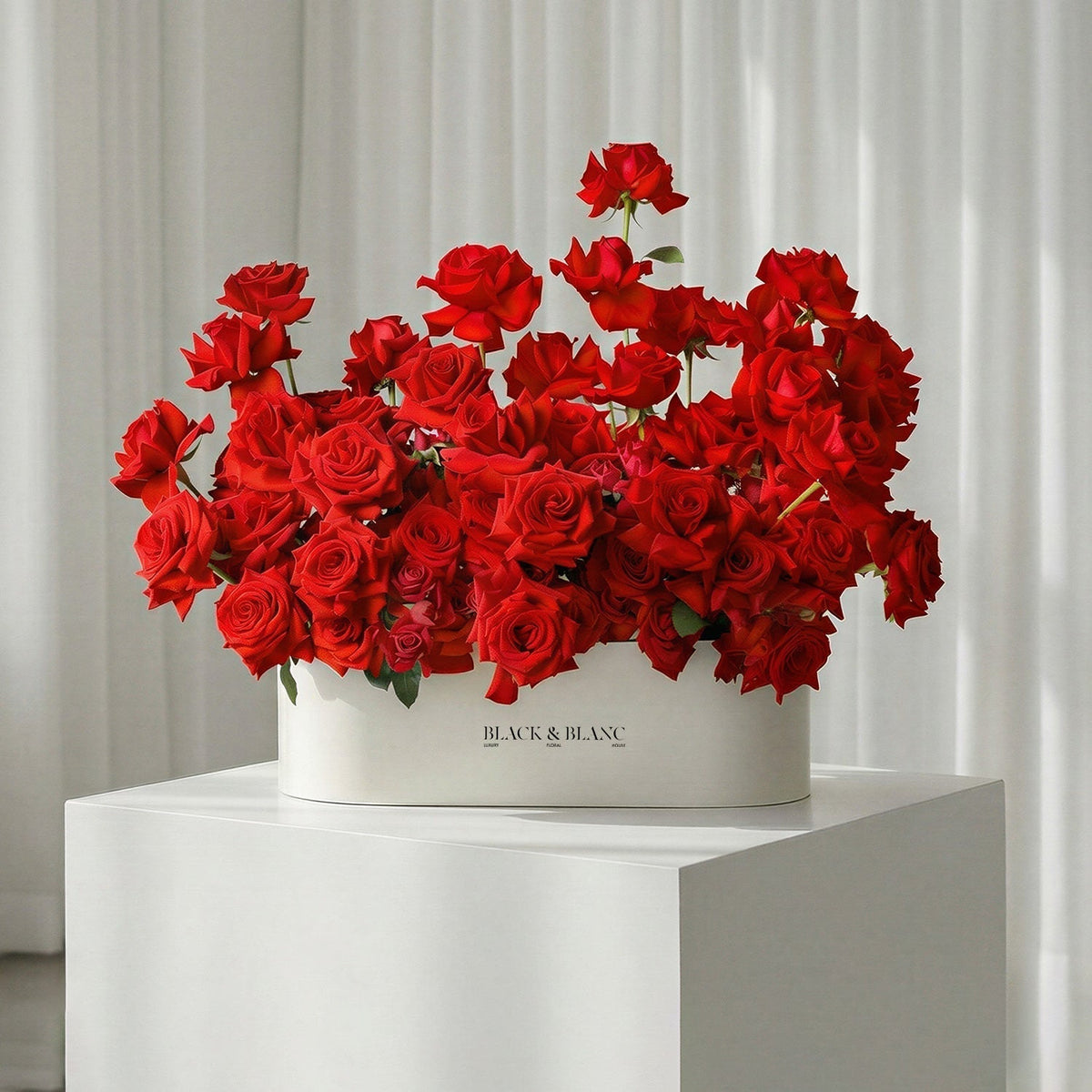 Rose Luxe in Half Meter Box - BLACK AND BLANC