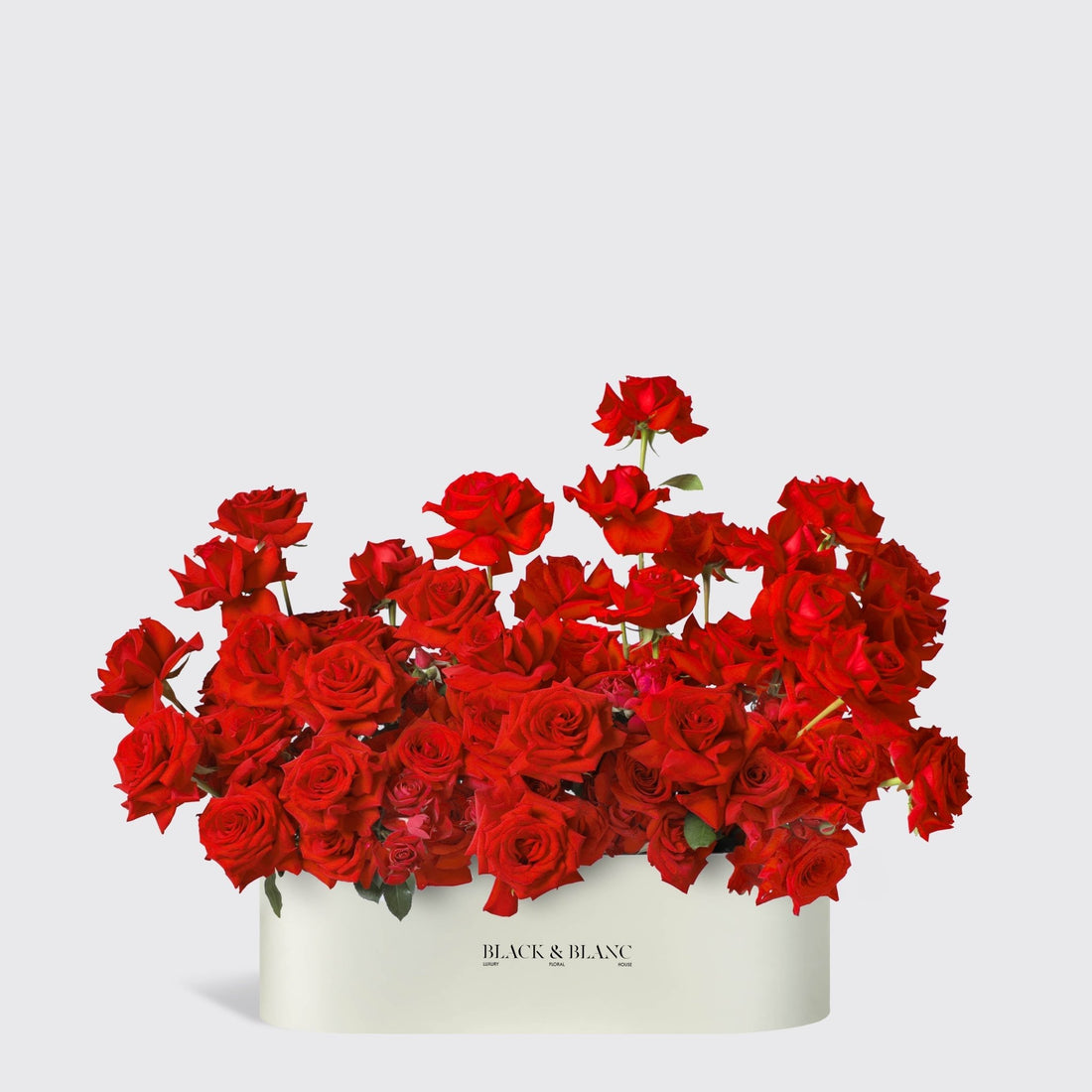 Rose Luxe in Half Meter Box - BLACK AND BLANC