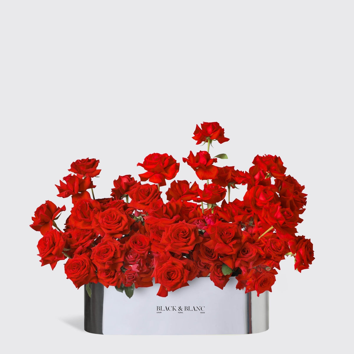 Rose Luxe in Half Meter Box - BLACK AND BLANC