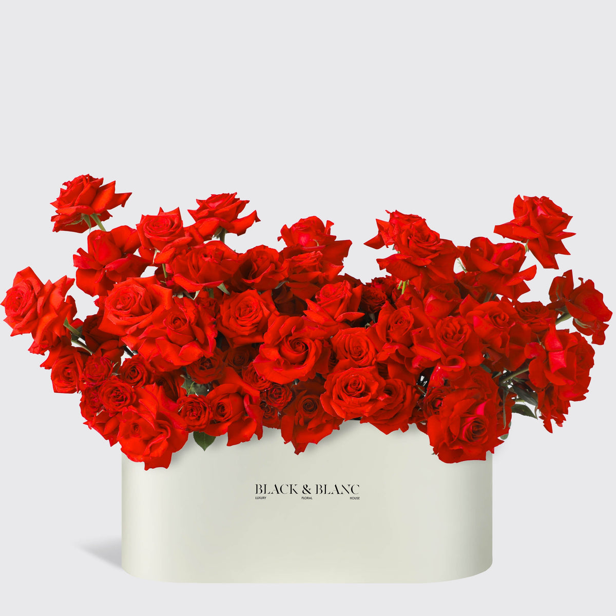 روز لوكس في زينيث