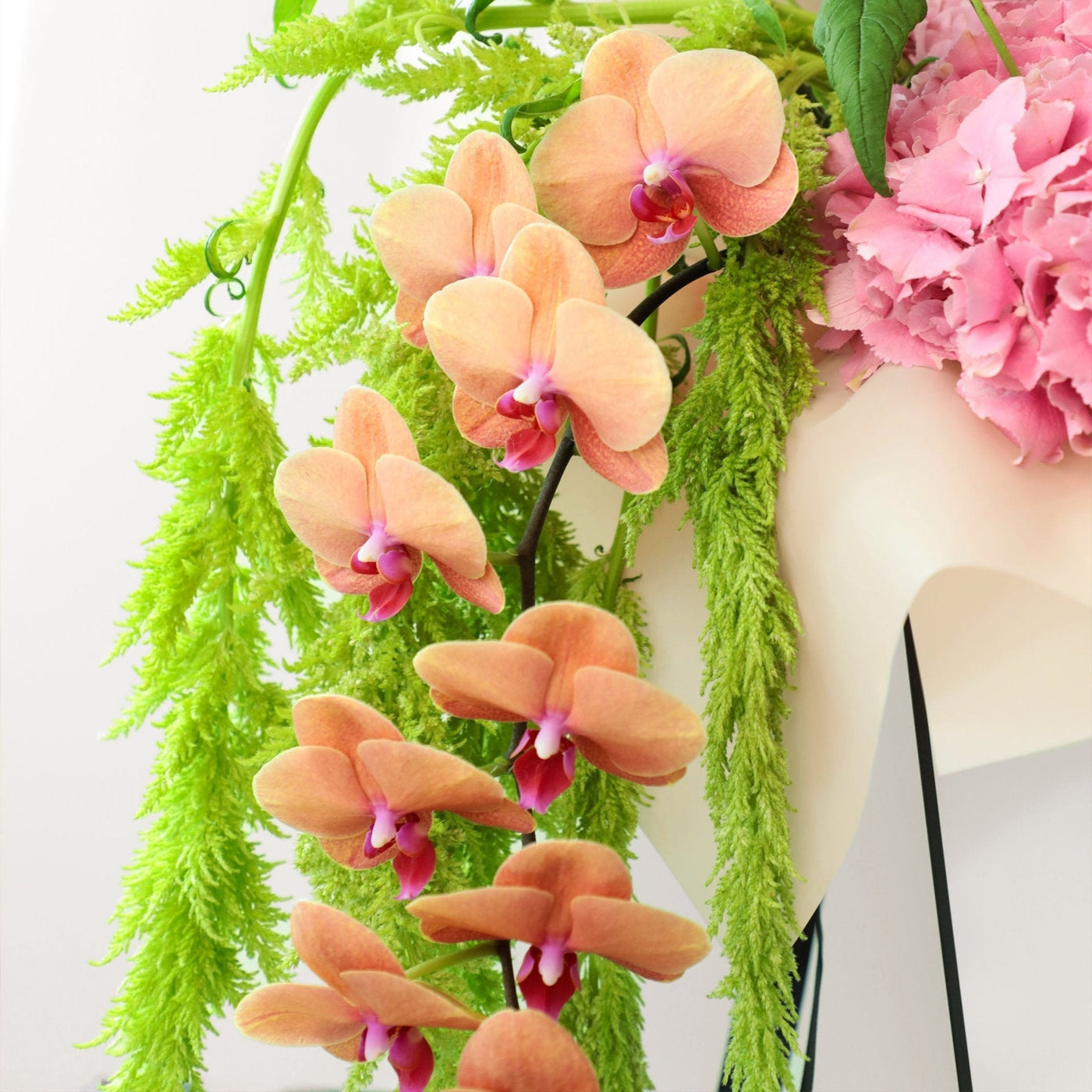 Rosé rituals Bouquet - BLACK AND BLANC