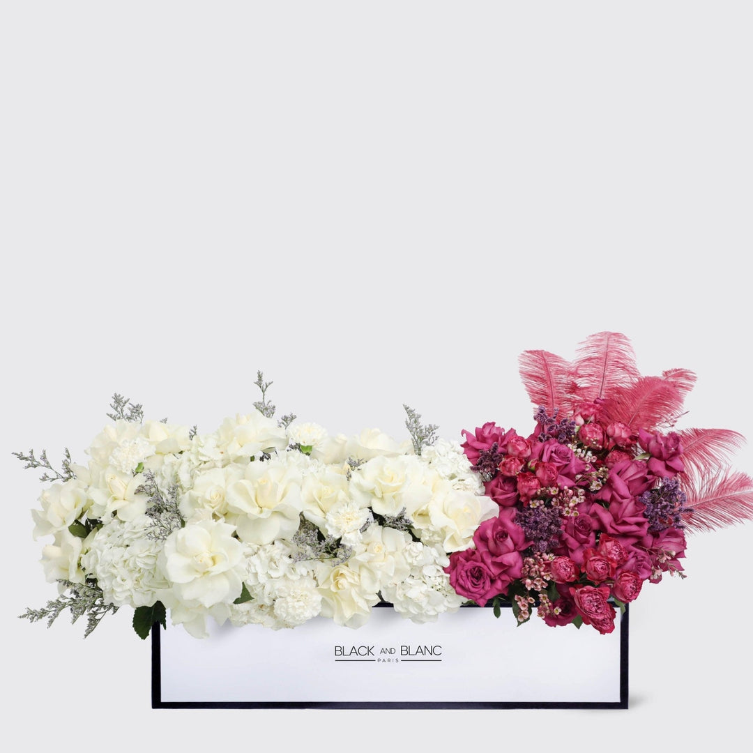 Rouge Eclat in 1 Meter Box - BLACK AND BLANC