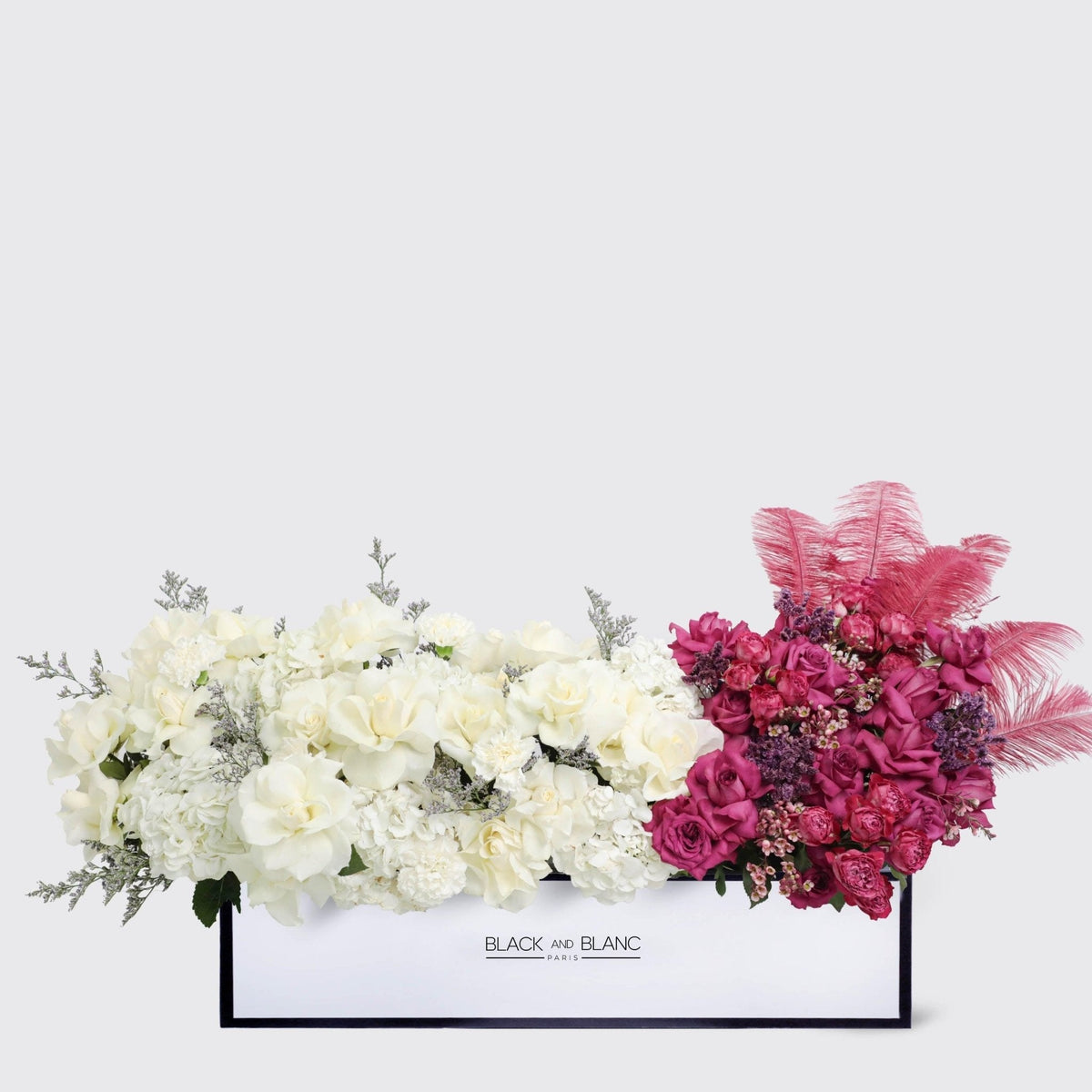 Rouge Eclat in 1 Meter Box - BLACK AND BLANC