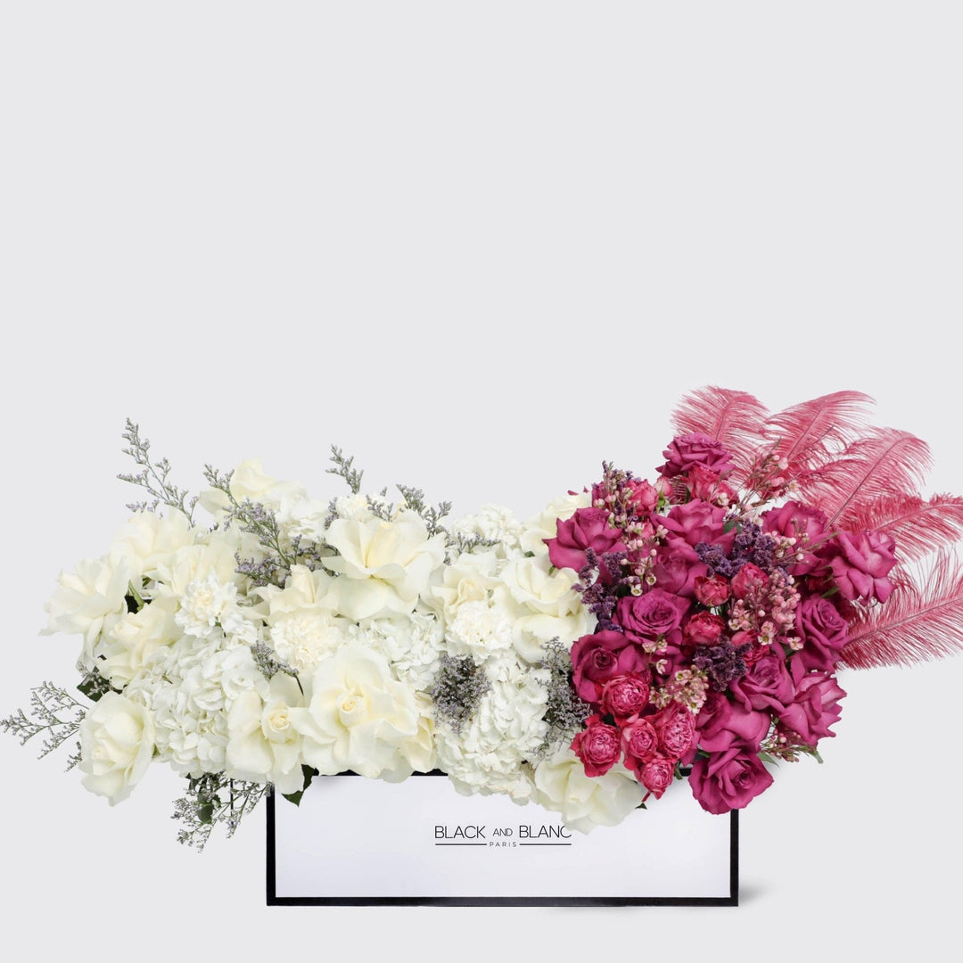 Rouge Eclat in half Meter Box - BLACK AND BLANC