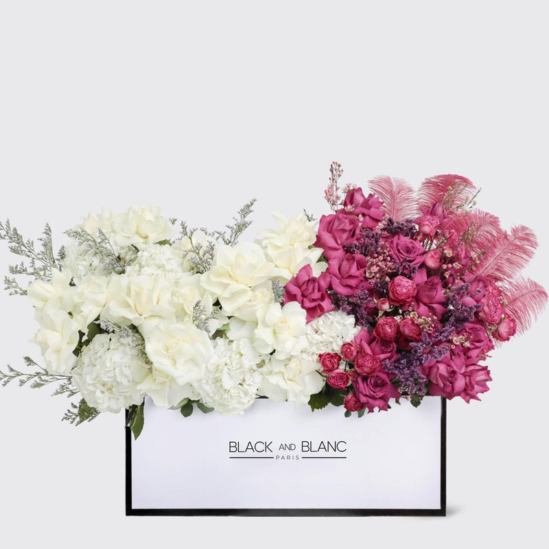 Rouge Eclat in Zenith box - BLACK AND BLANC