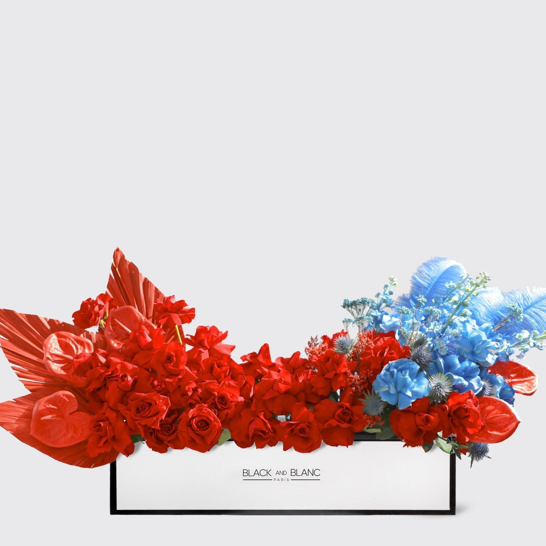 Royal Flame in 1 Meter Box - BLACK AND BLANC