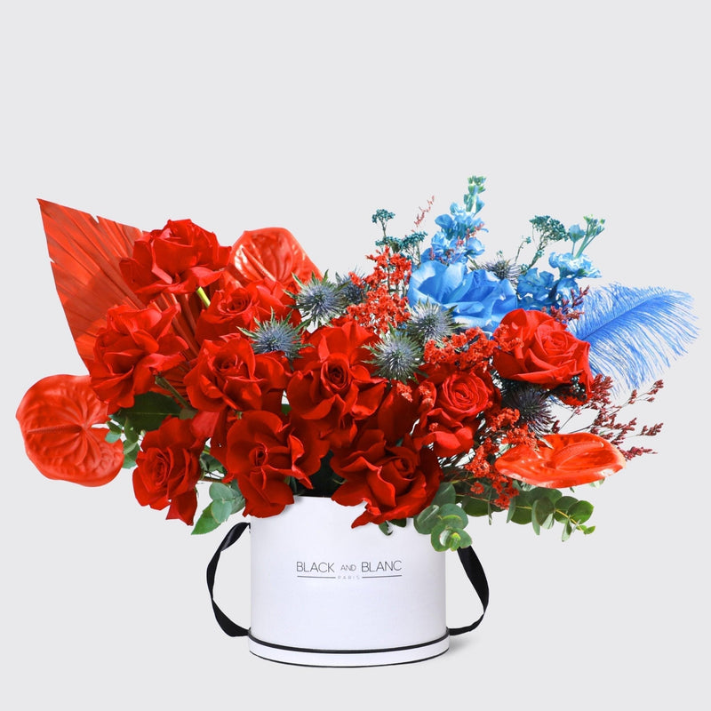 Royal Flame in Box - BLACK AND BLANC