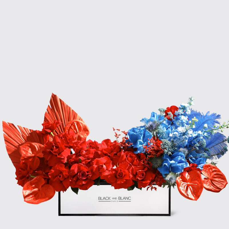 Royal Flame in Half Meter Box - BLACK AND BLANC