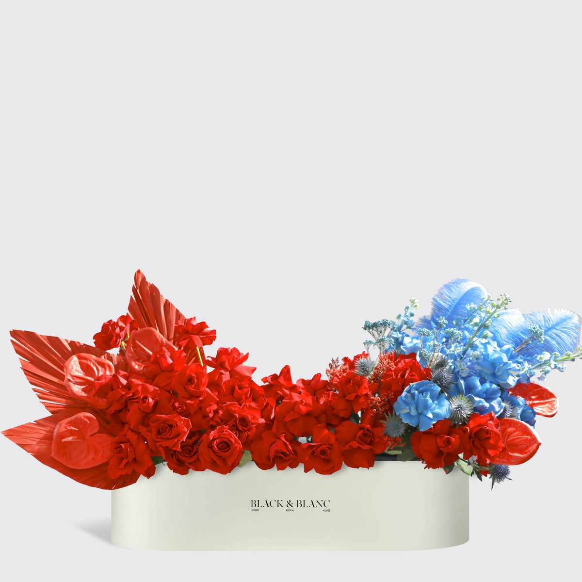 Royal Flame in Half Meter Box