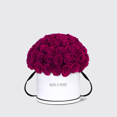 Royal Purple Dôme Classic - Infinity Roses - Infinity Roses