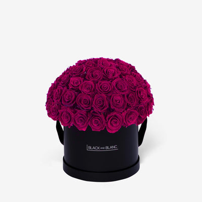 Royal Purple Dôme Classic - Infinity Roses - Infinity Roses