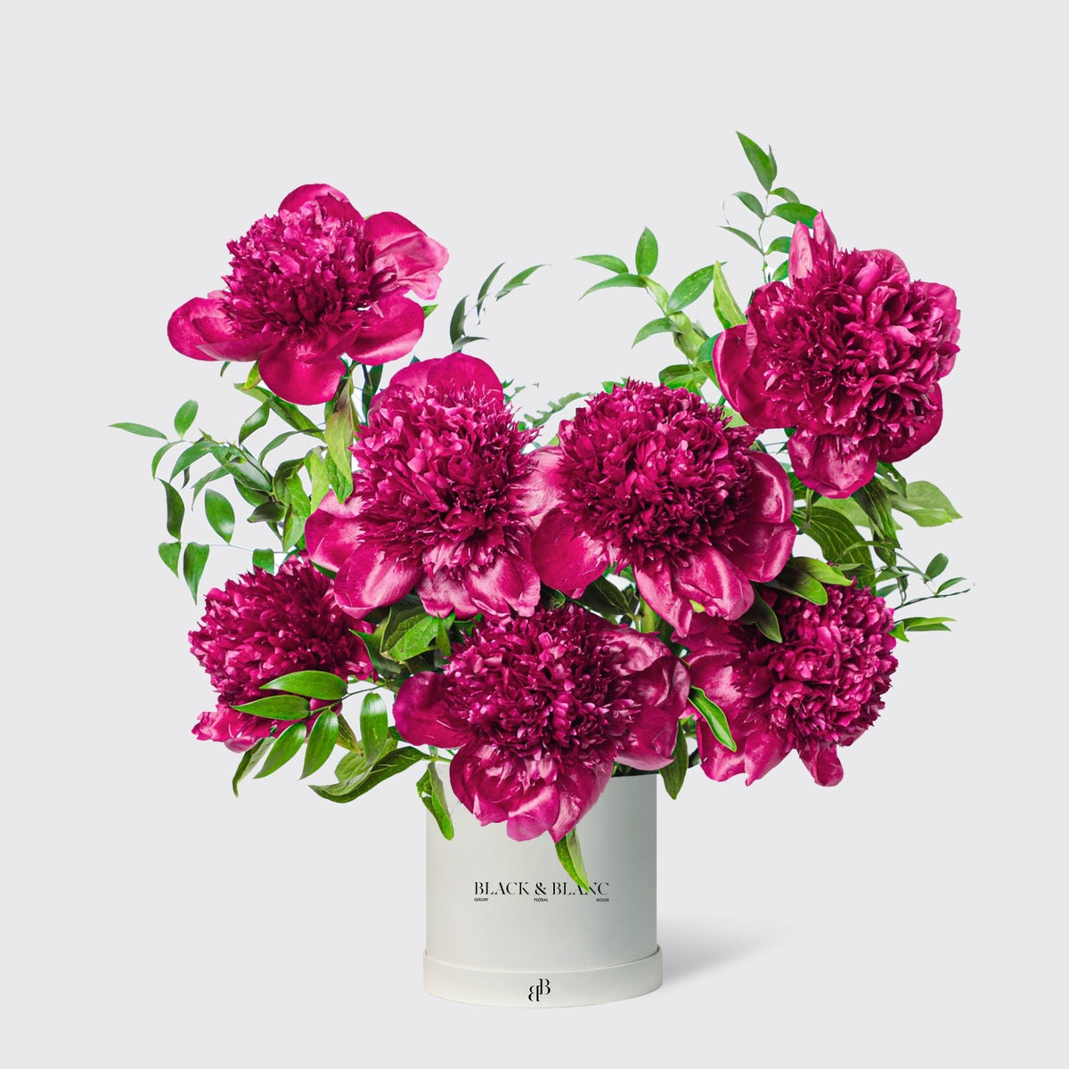 Royal Ruby peonies in Box - BLACK AND BLANC