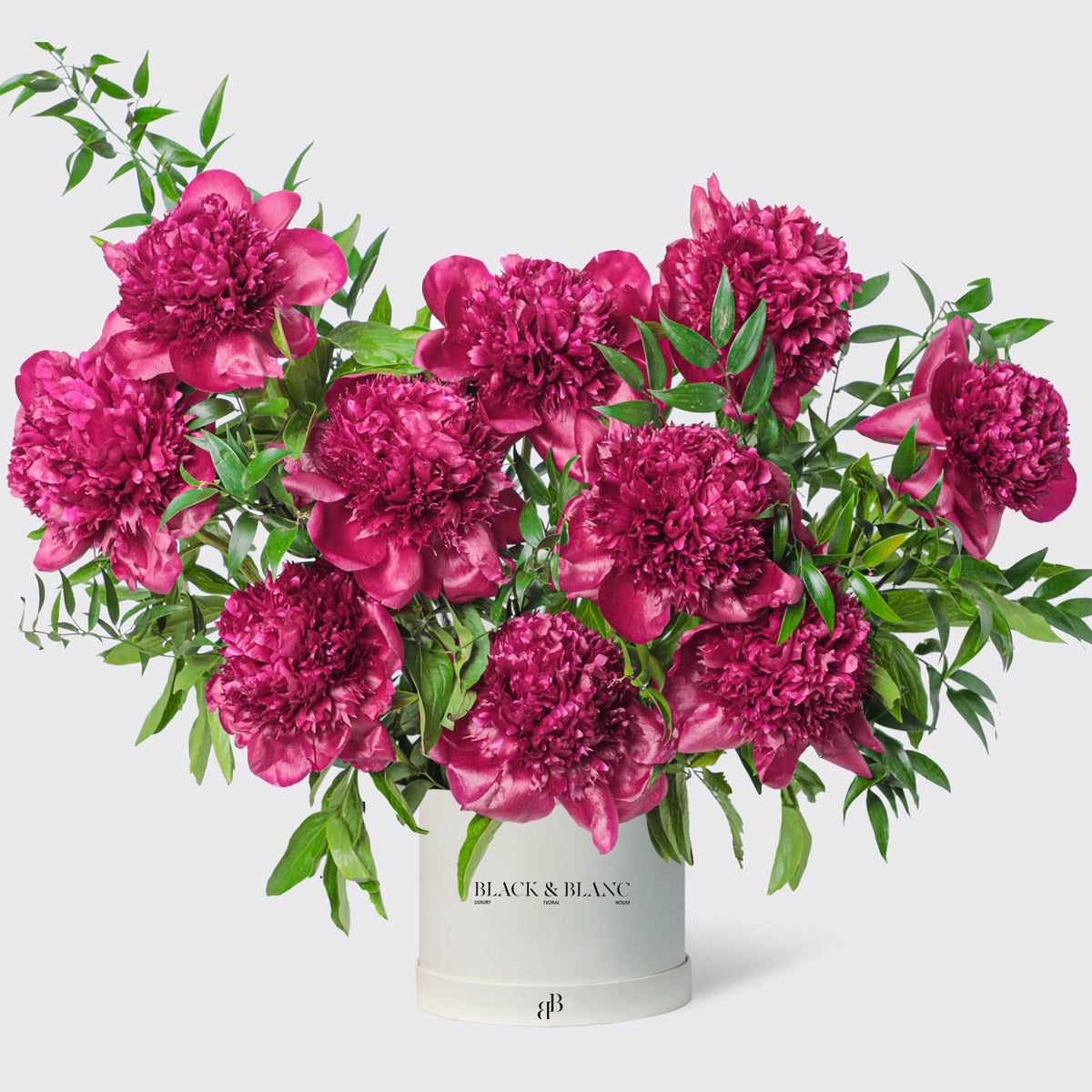 Royal Ruby peonies in Box - BLACK AND BLANC